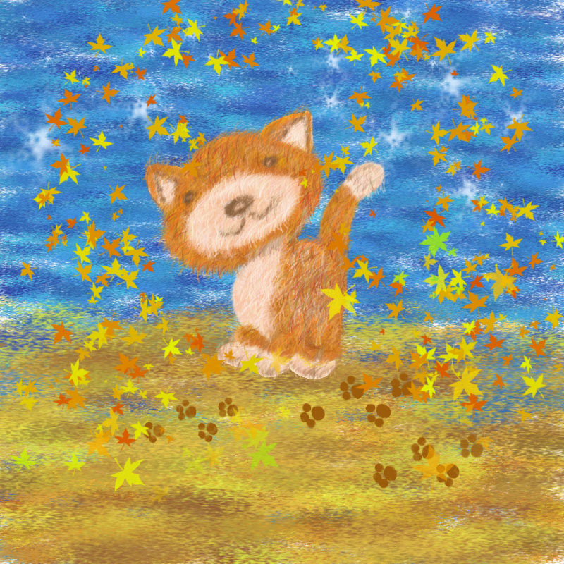 кот.jpg