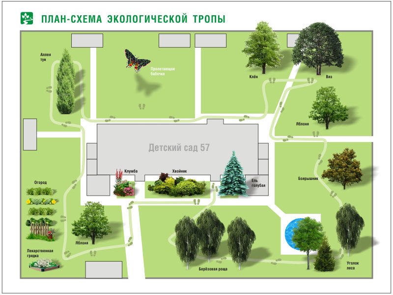 План схема экологической тропы