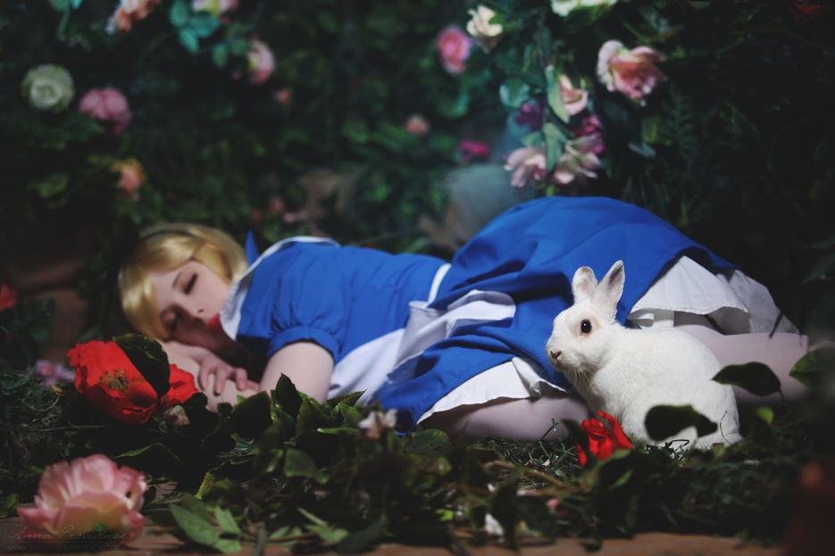 alice_in_wonderland_by_annaprovidence-d888taq.jpg
