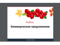 Ppt и pdf презентация для интернет-агентства