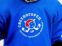 Разработка логотипа для хоккейной команды