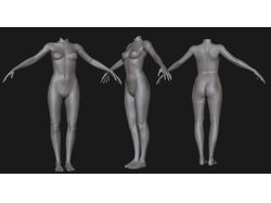 FAmale body (nudity)