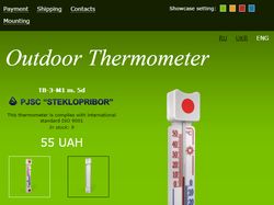Landing Page Продажа термометров
