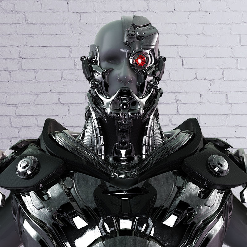 Habot1.jpg
