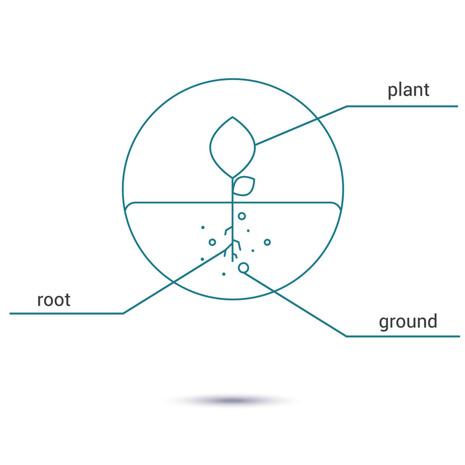 plant_icon_linear_style_02.jpg