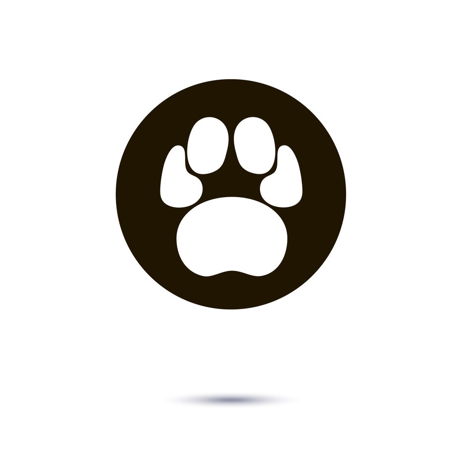 paws_3.jpg