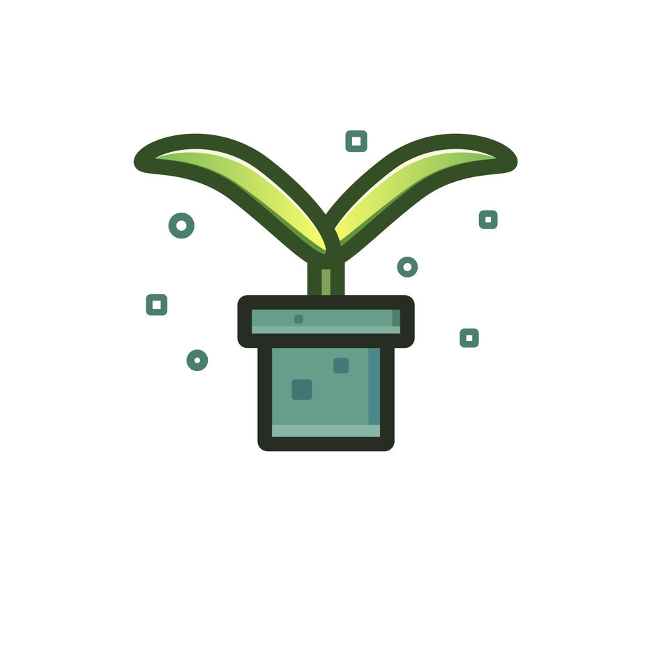 Plant.jpg