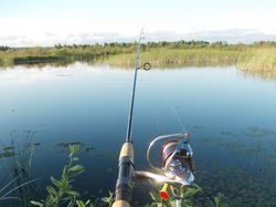 Fishing go