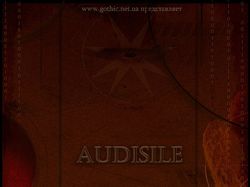 плакат группы AudiSile