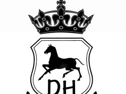 Логотип для конной команды