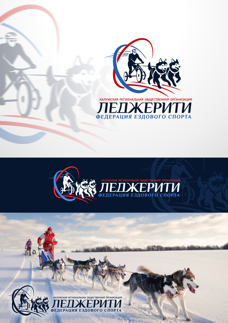 Леджерити.png
