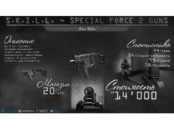 SKILL Special Force 2 Weapon Guide