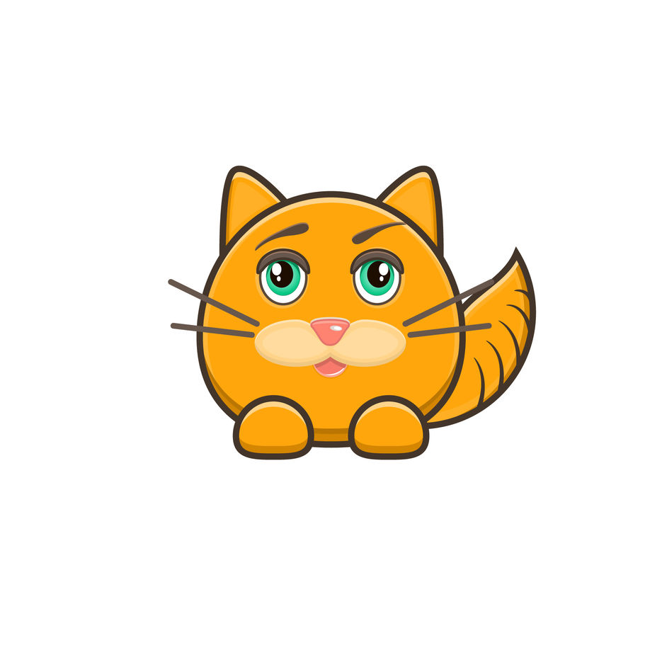 Cat.jpg