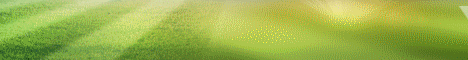 468_1.gif