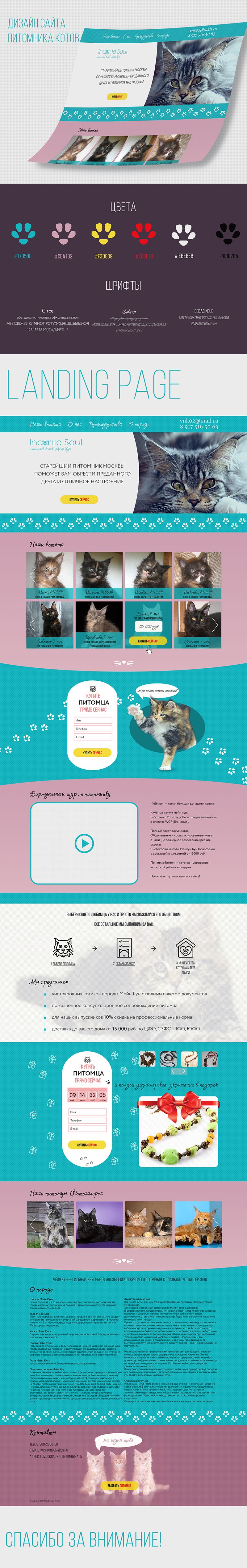 сайт кошки ПРЕЗЕНТАЦИЯ.png