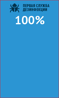 klop_240_400.gif