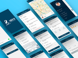 IBEX — iOS App & Icon Design