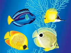 tropic fishes