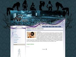 Сайт компании Vip-Disco