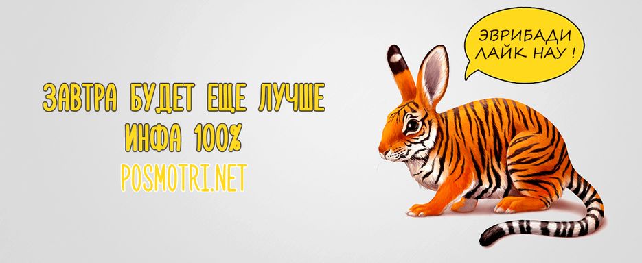 Эврибади перевод на русский. Эврибади. Комон эврибади. Эврибади английский что это. Пятачок комон эврибади.