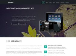 Modest Landing Page