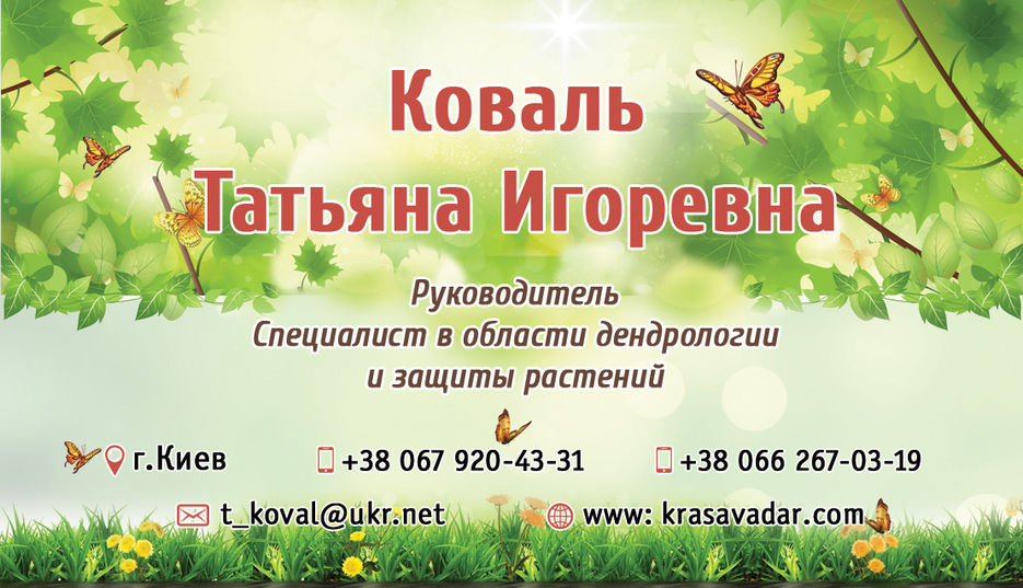 vizitka krasavadar_B.jpg