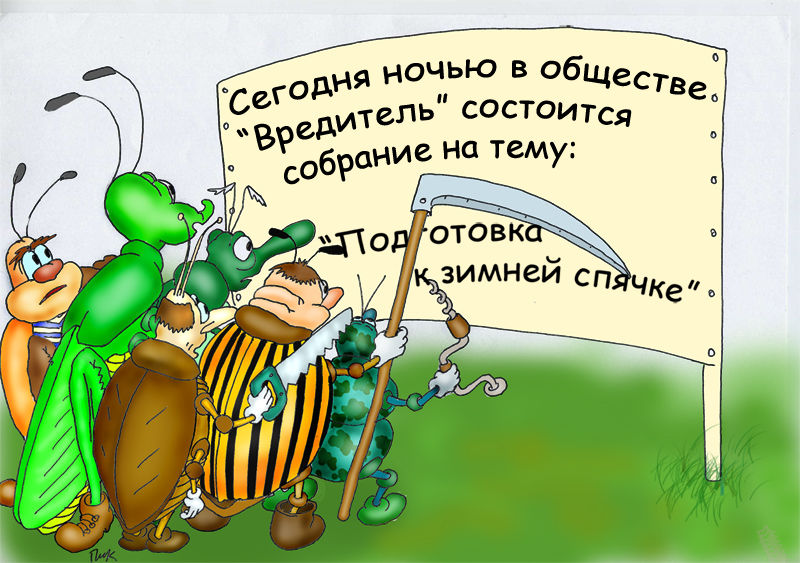 Карикатура "Собрание".jpg
