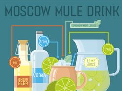 Moscow Mule Infographic