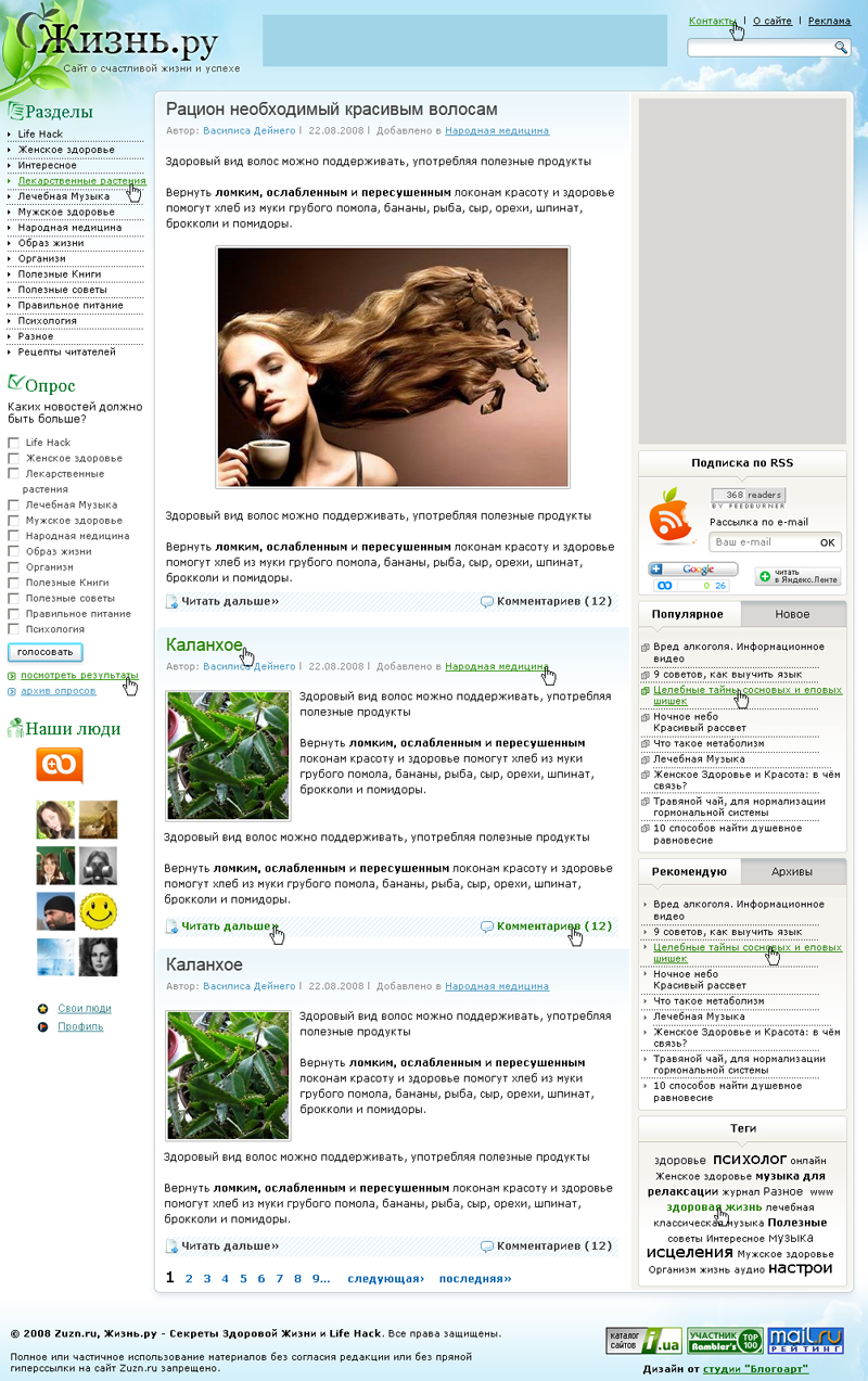 Блог 2008.jpg