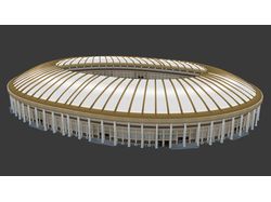 стадион Лужники лоуполи