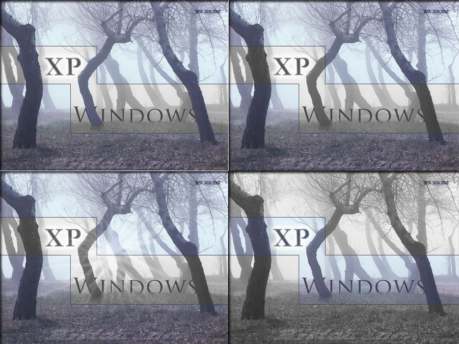 Обои для XP.jpg