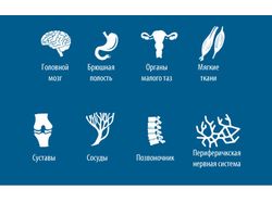 Набор иконок органов для центра МРТ
