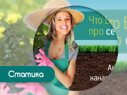 Септики и биобактерии. Серия баннеров для вк.