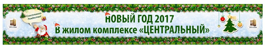 Центральный_зима_Елка_НГ.jpg