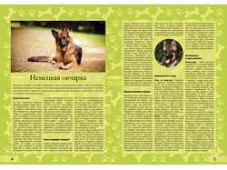 Дизайн разворотов журнала про собак