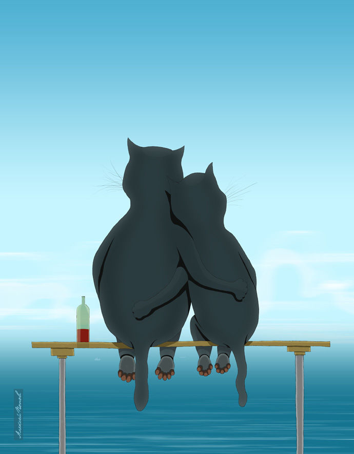 Морские котики.jpg