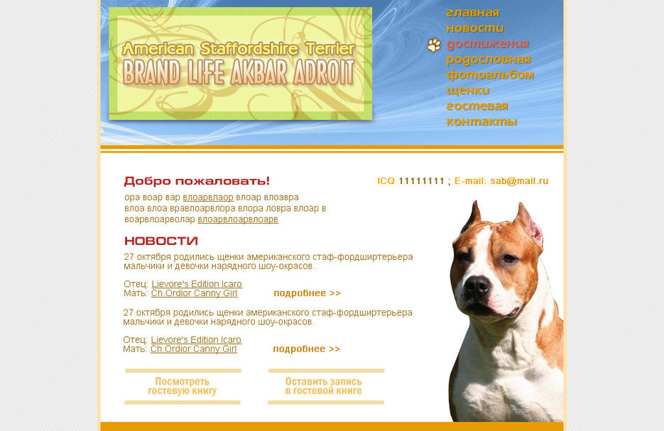 Дизайн для сайта собаки.jpg
