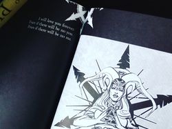 Иллюстрация для книги Джулии Ванг (Опубликованная)