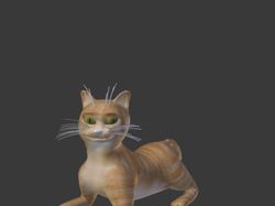 Кот анимация