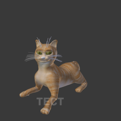 TEST.gif