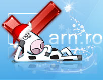 Новогодний логотип для arn.ro 2008.jpg