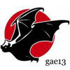 gae13