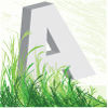 Anyanka