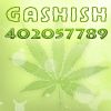 Gashish