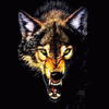AloneWolf