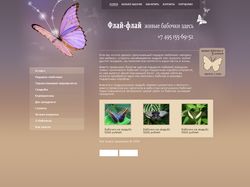 Дизайн сайта Fly-Fly.ru