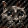 shad0wcat