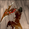 _RassoR_