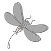 dragonfly84