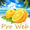 pro_web